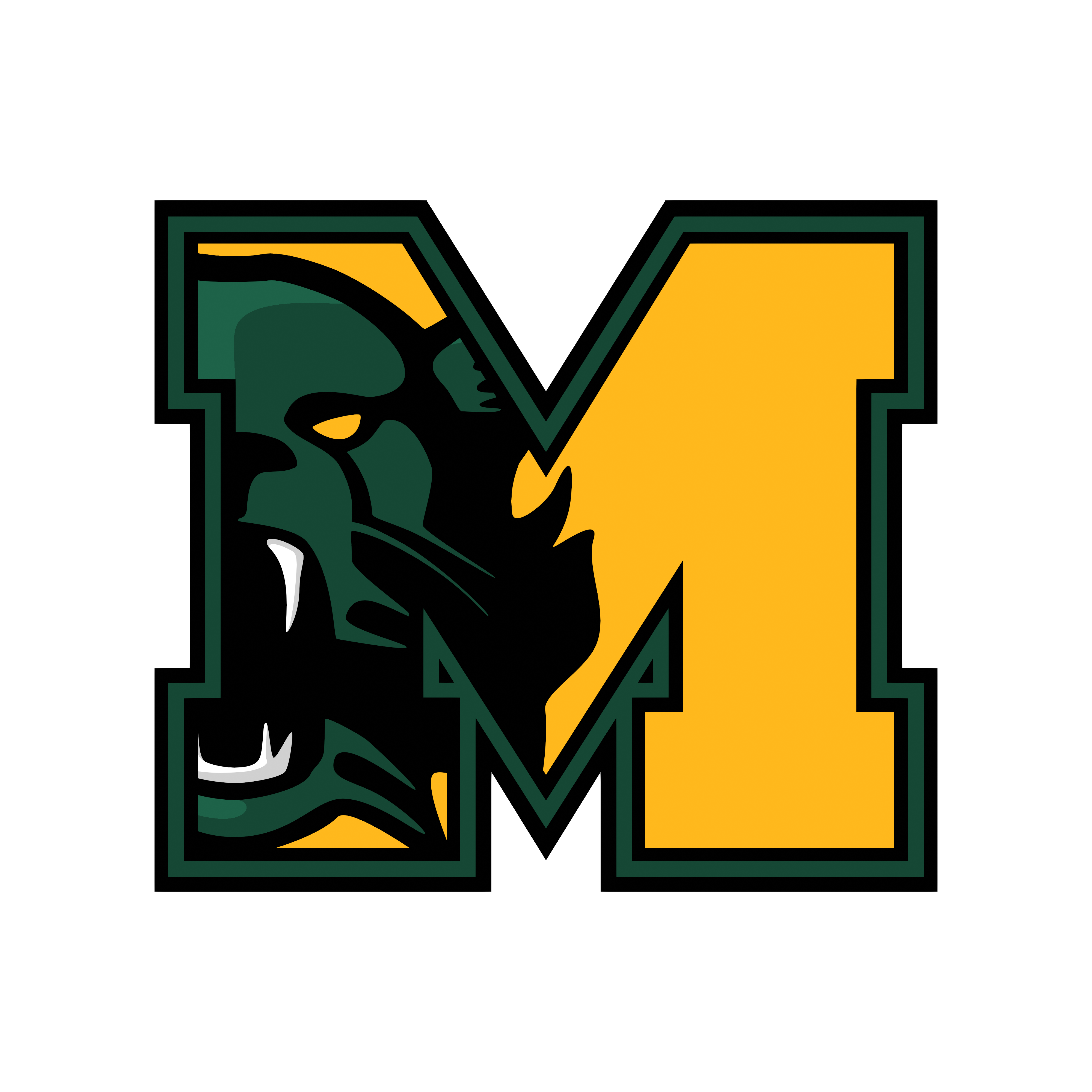 District Logo